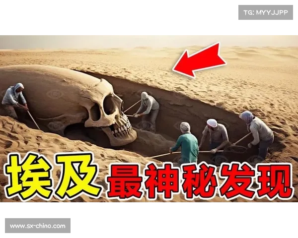 神秘传说背后的真相揭秘吓人先祖兑换表的起源与历史真貌