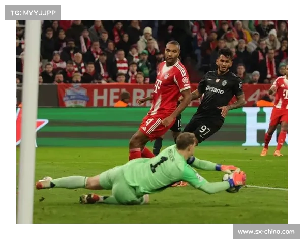 拜仁慕尼黑体育场名称由来及其背后文化意义解析